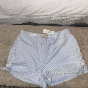 LOFT size 2 pinstripe white blue short - 4 inch short